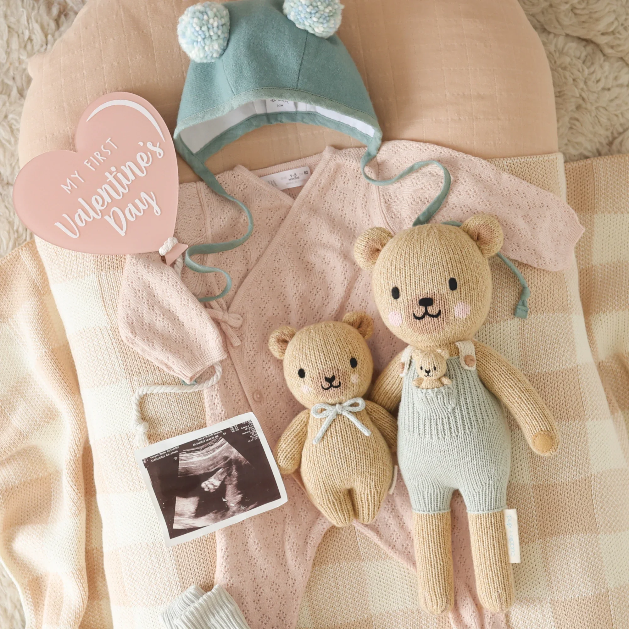 Alexander the honey bear - Image 6