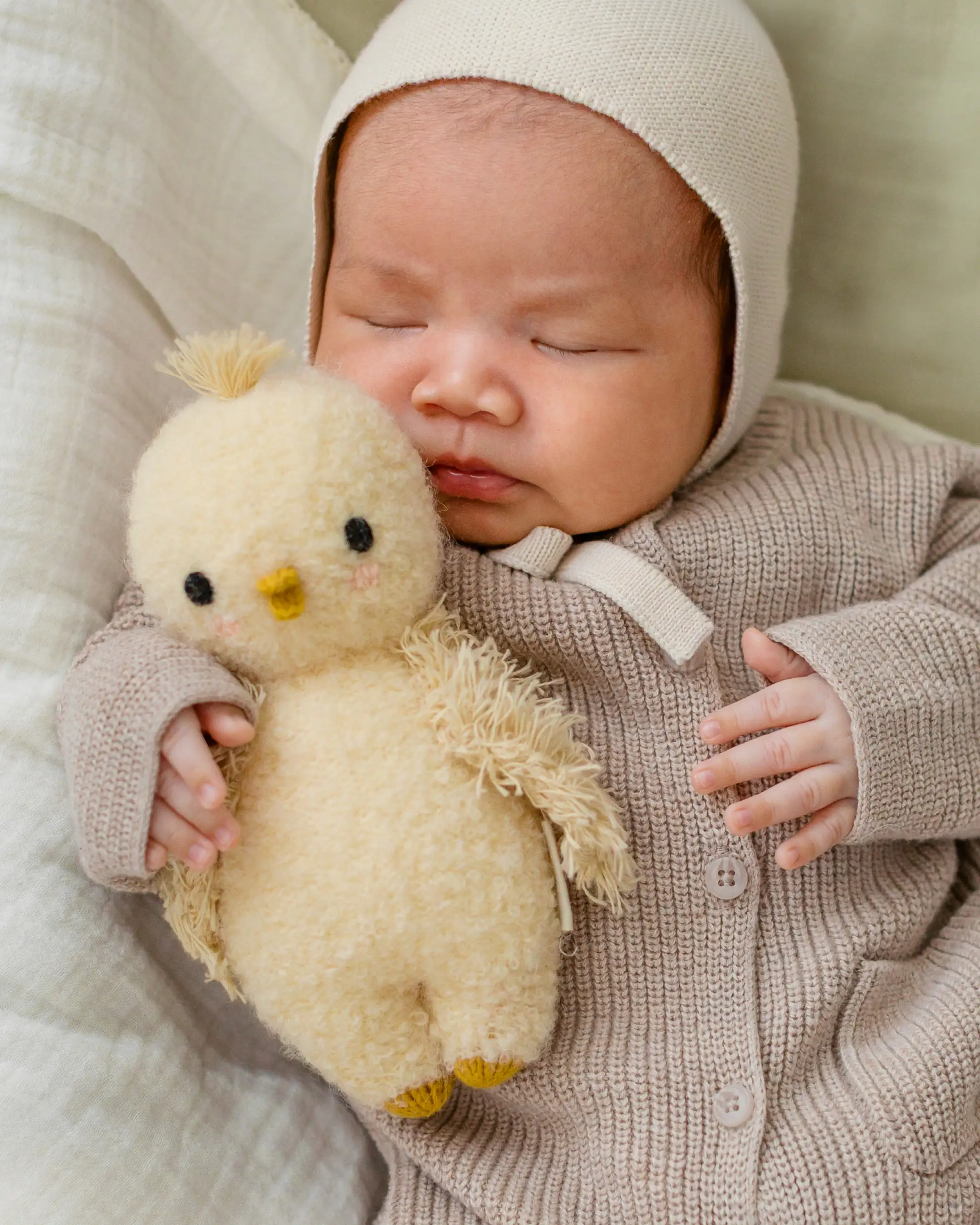 Baby bouclé chick (buttercup) - Image 6