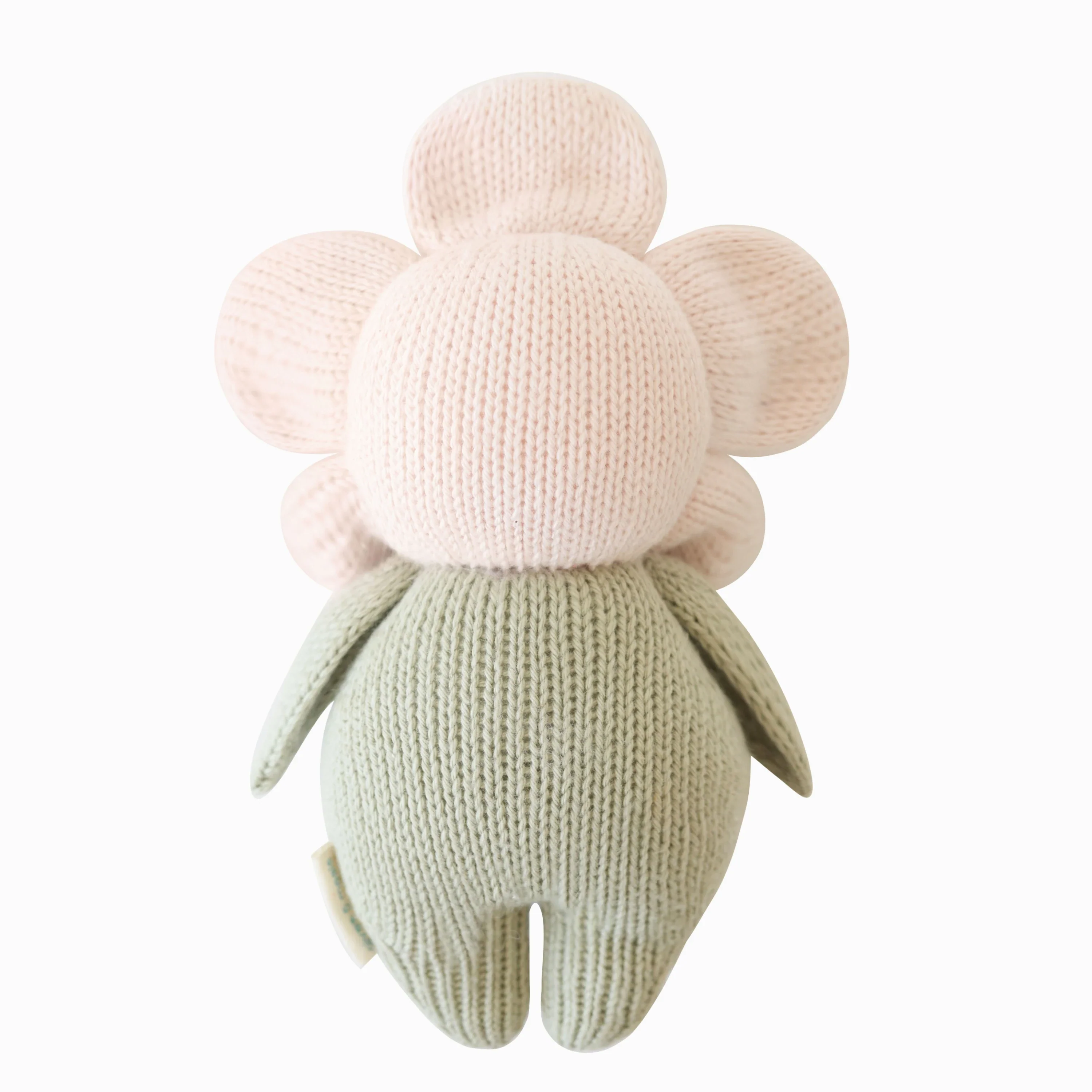 Baby daisy (blush pink) - Image 10