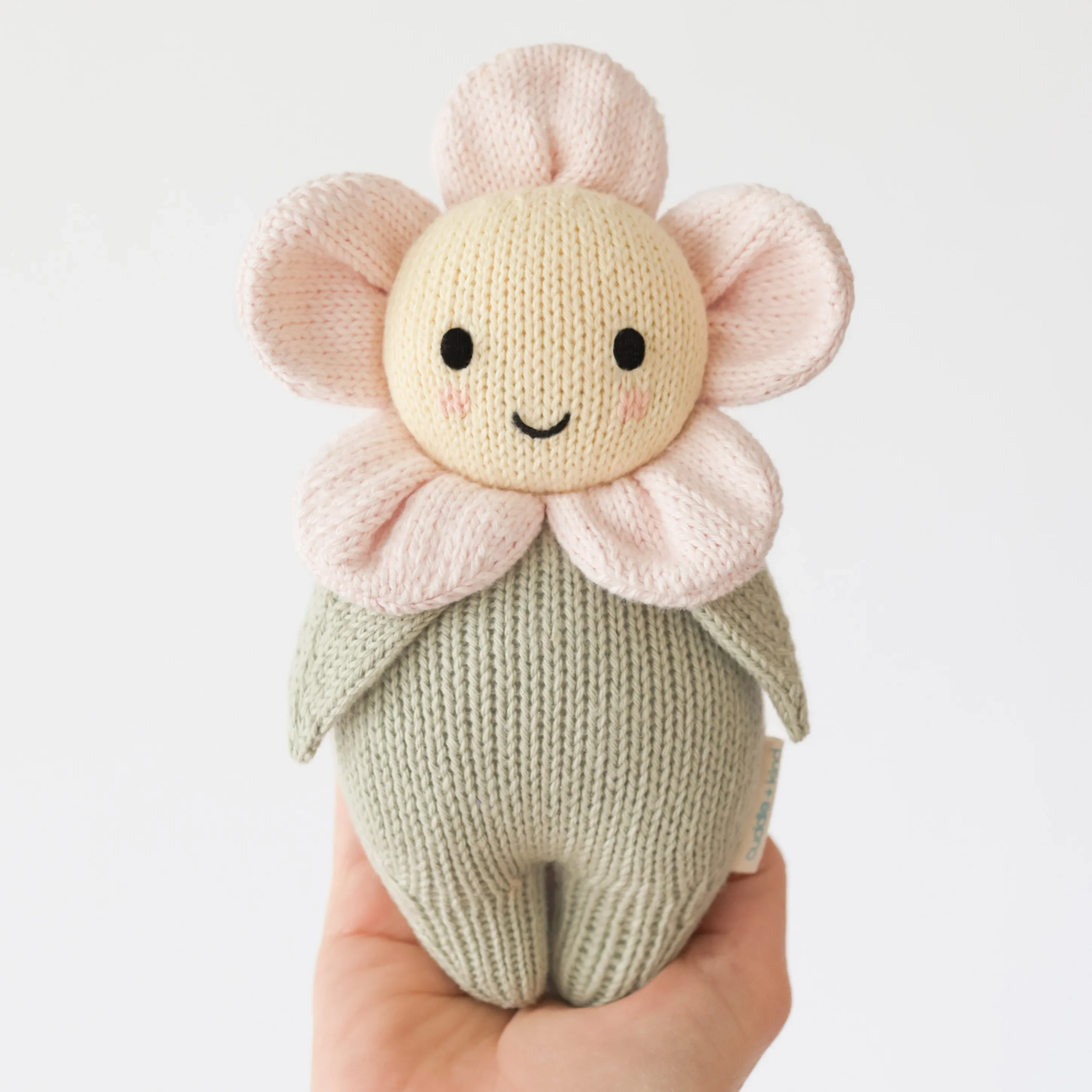 Baby daisy (blush pink) - Image 4