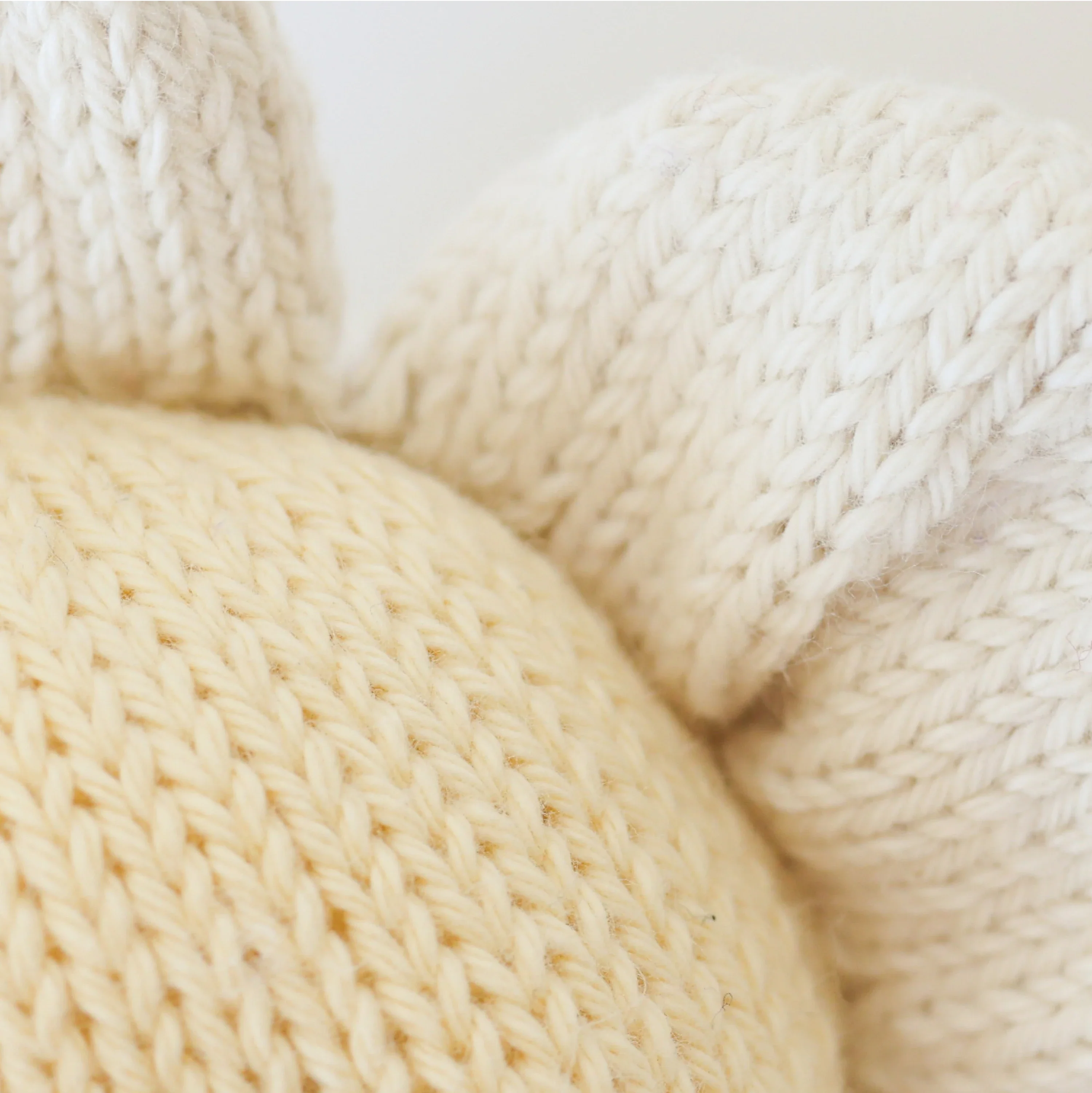 Baby daisy (ivory) - Image 3