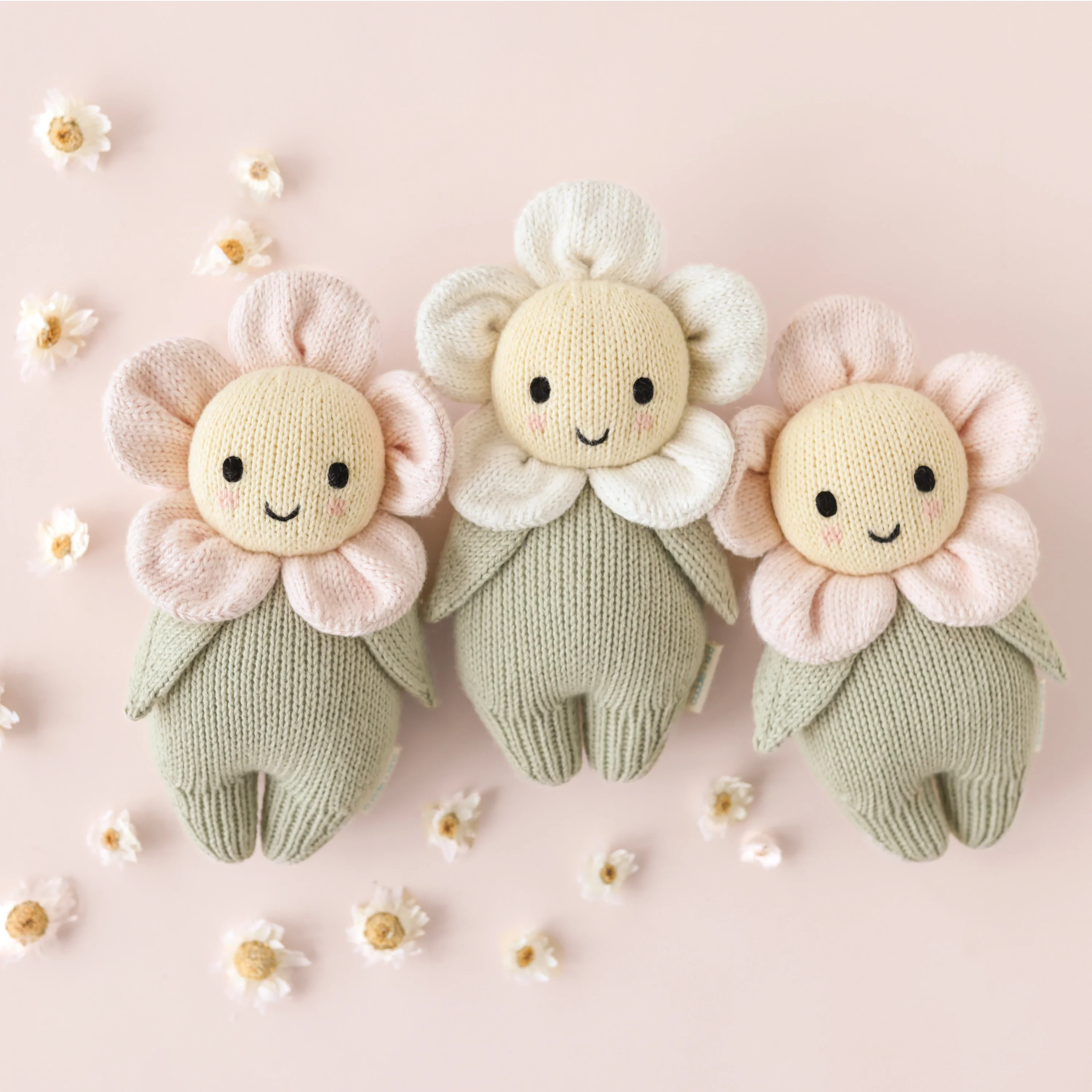Baby daisy (ivory) - Image 6