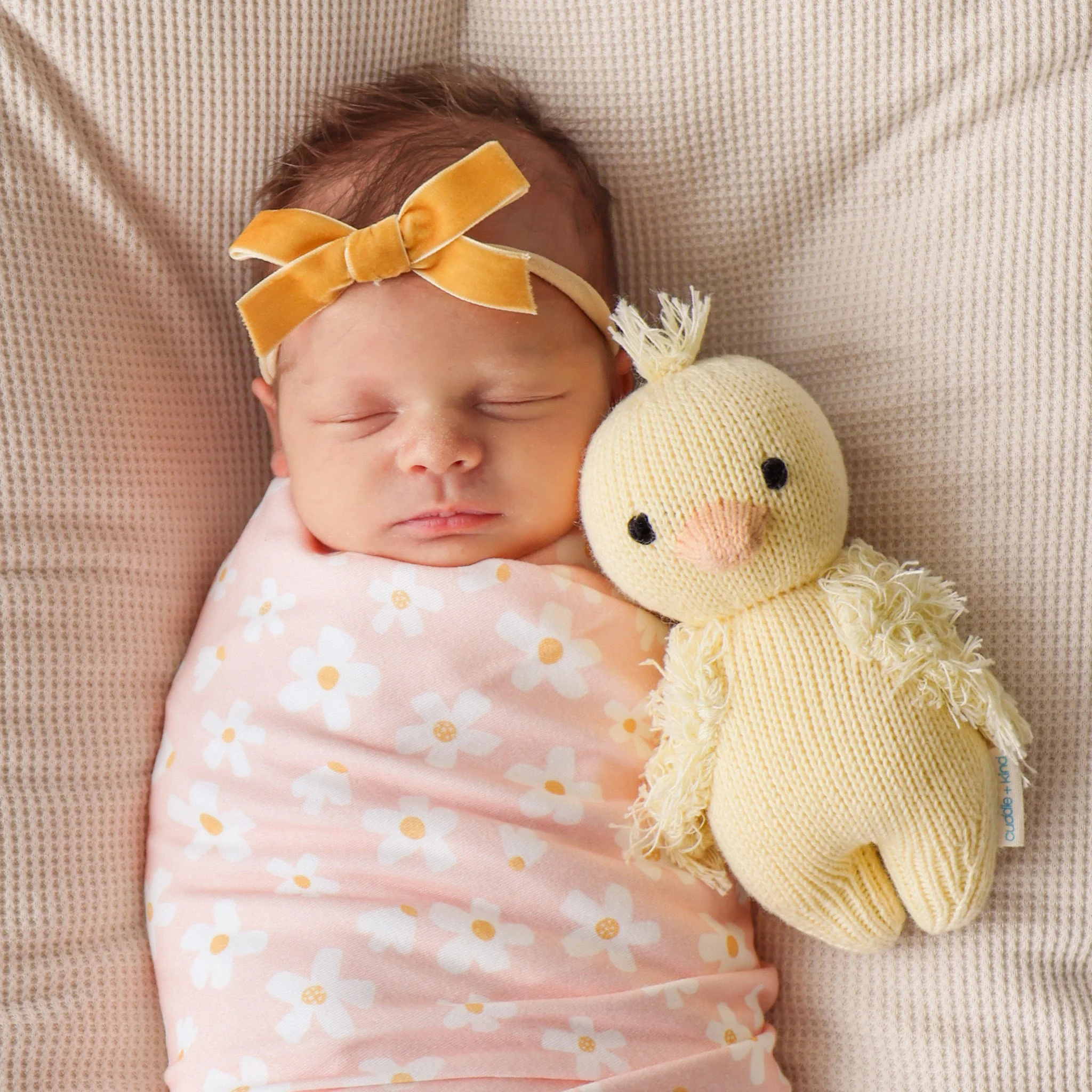 Baby duckling - Image 5