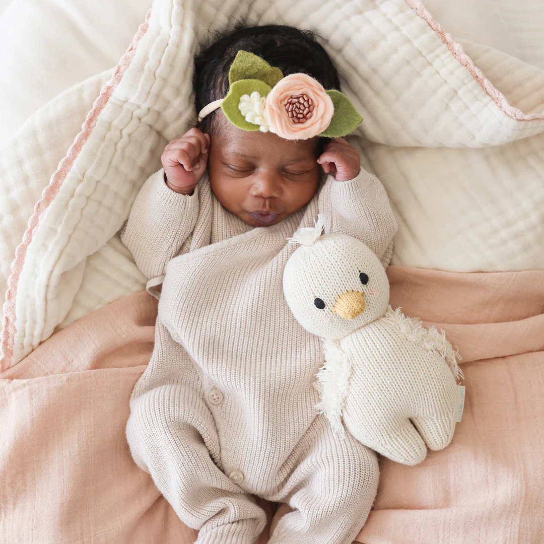 Baby gosling - Image 8