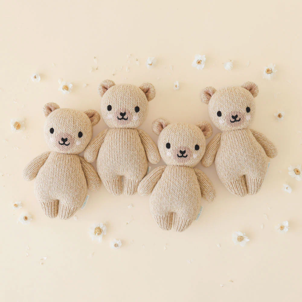 Baby honey bear - Image 4