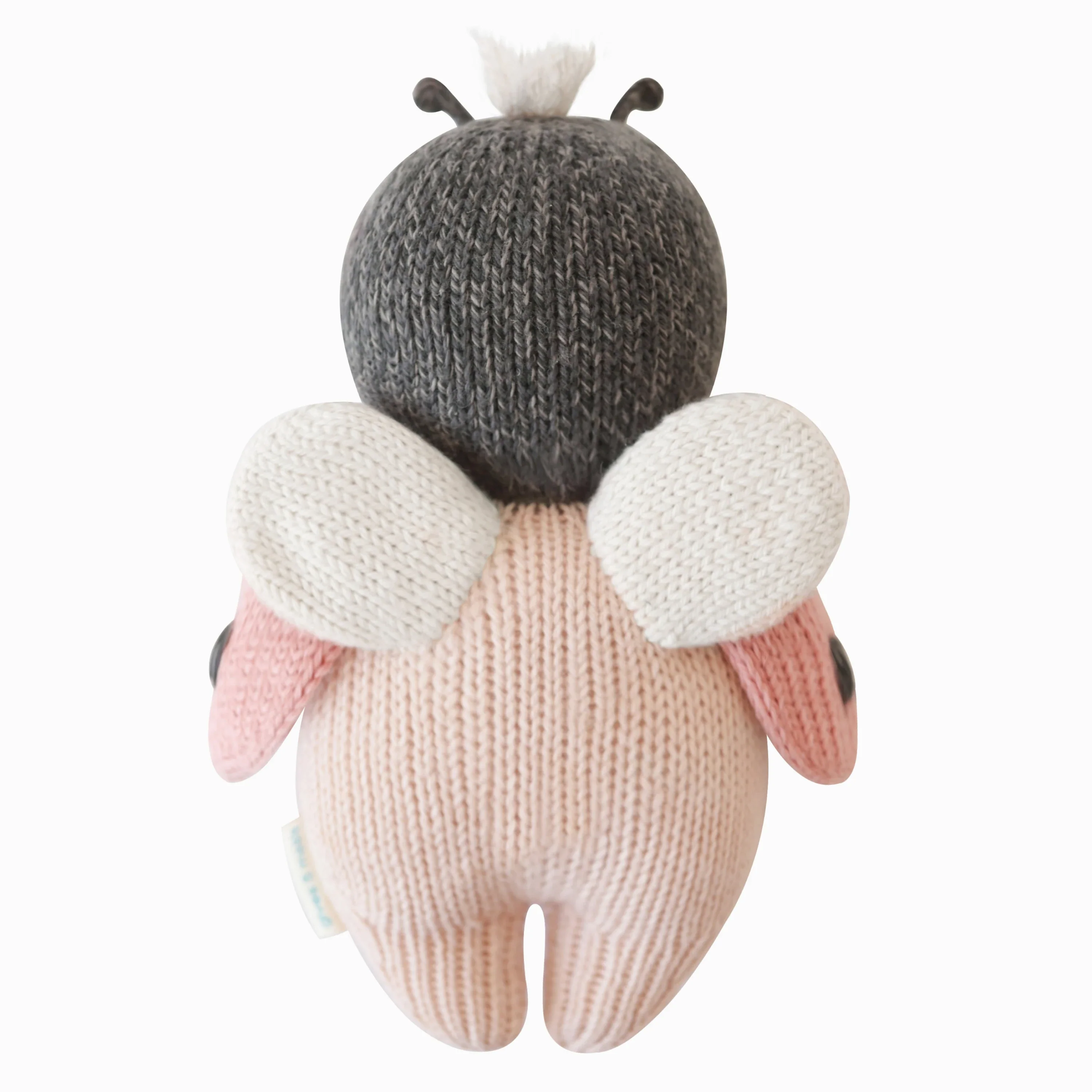 Baby ladybug - Image 10