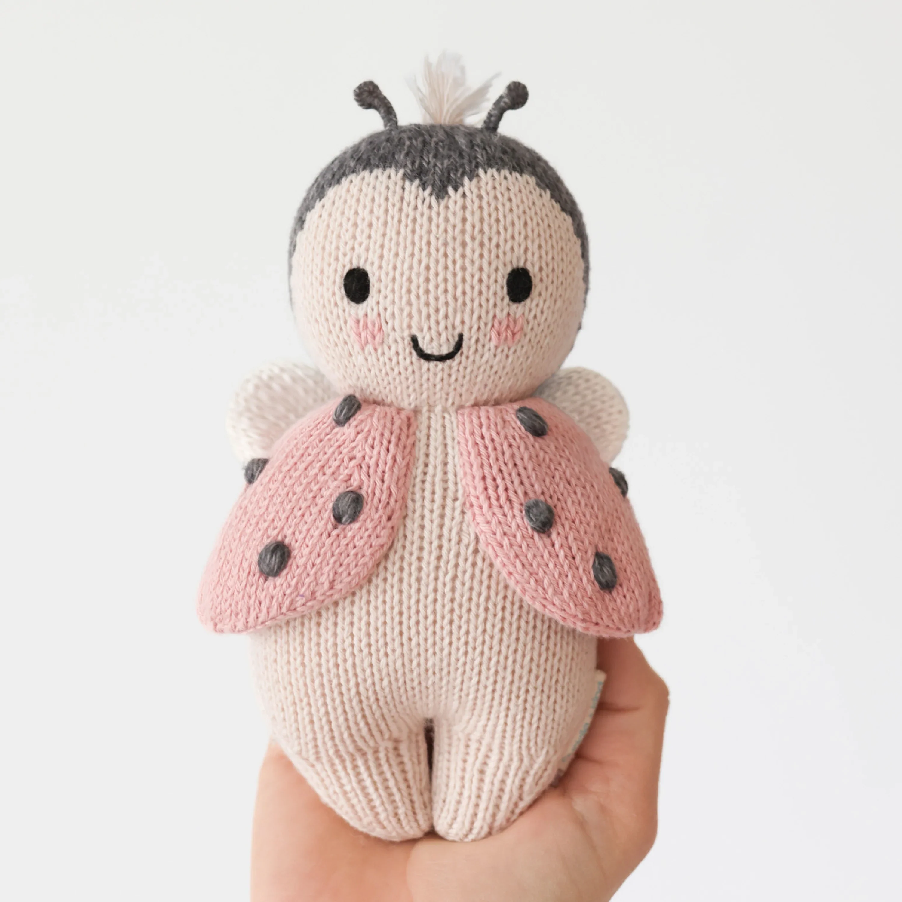 Baby ladybug - Image 4