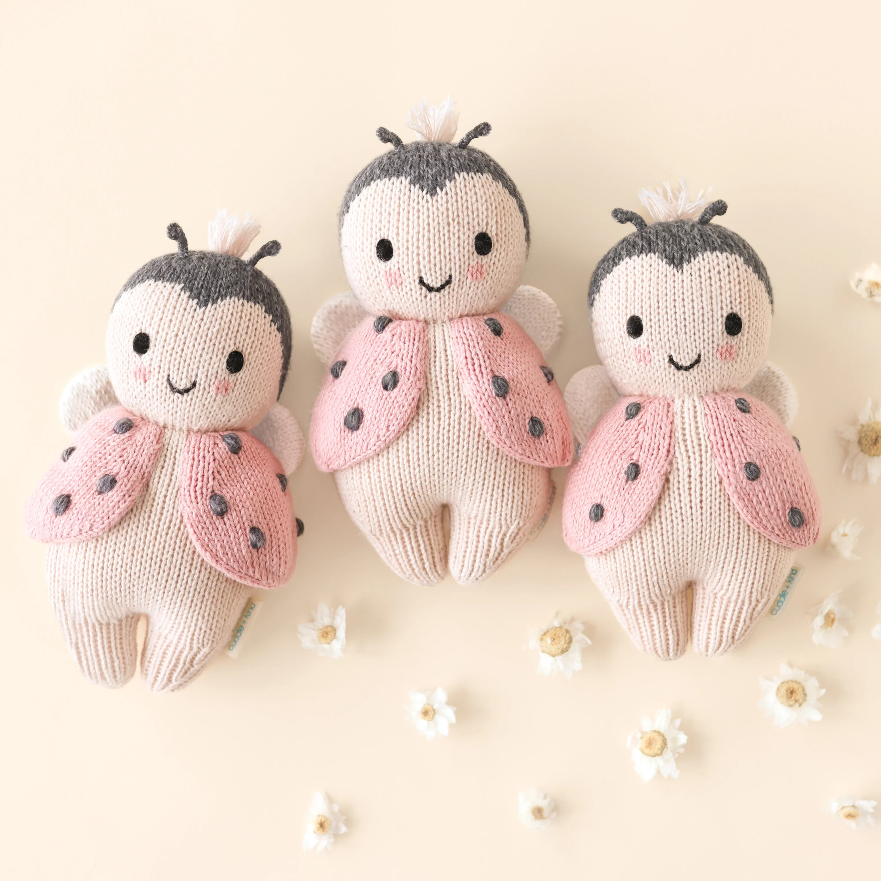 Baby ladybug - Image 6