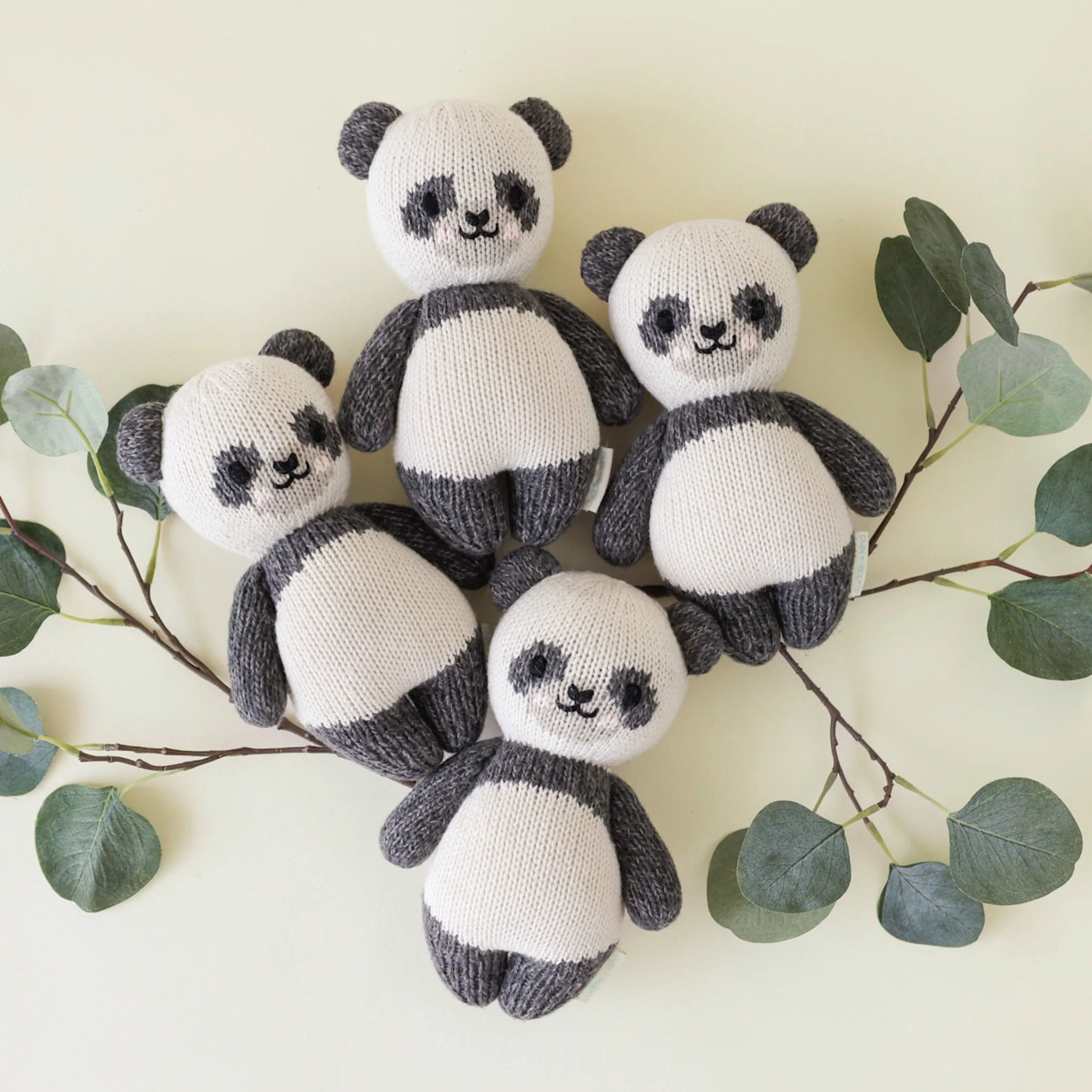 Baby panda - Image 5