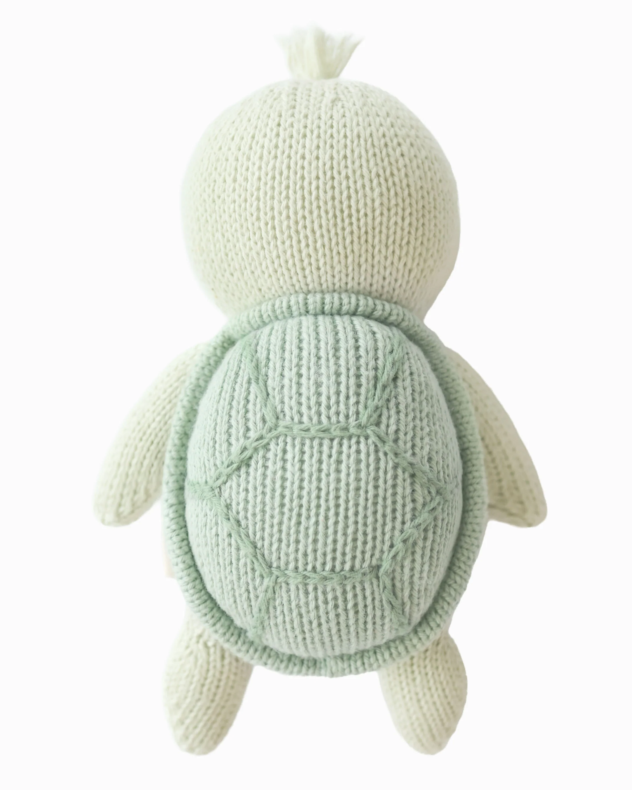 Baby sea turtle (kelp green) - Image 10