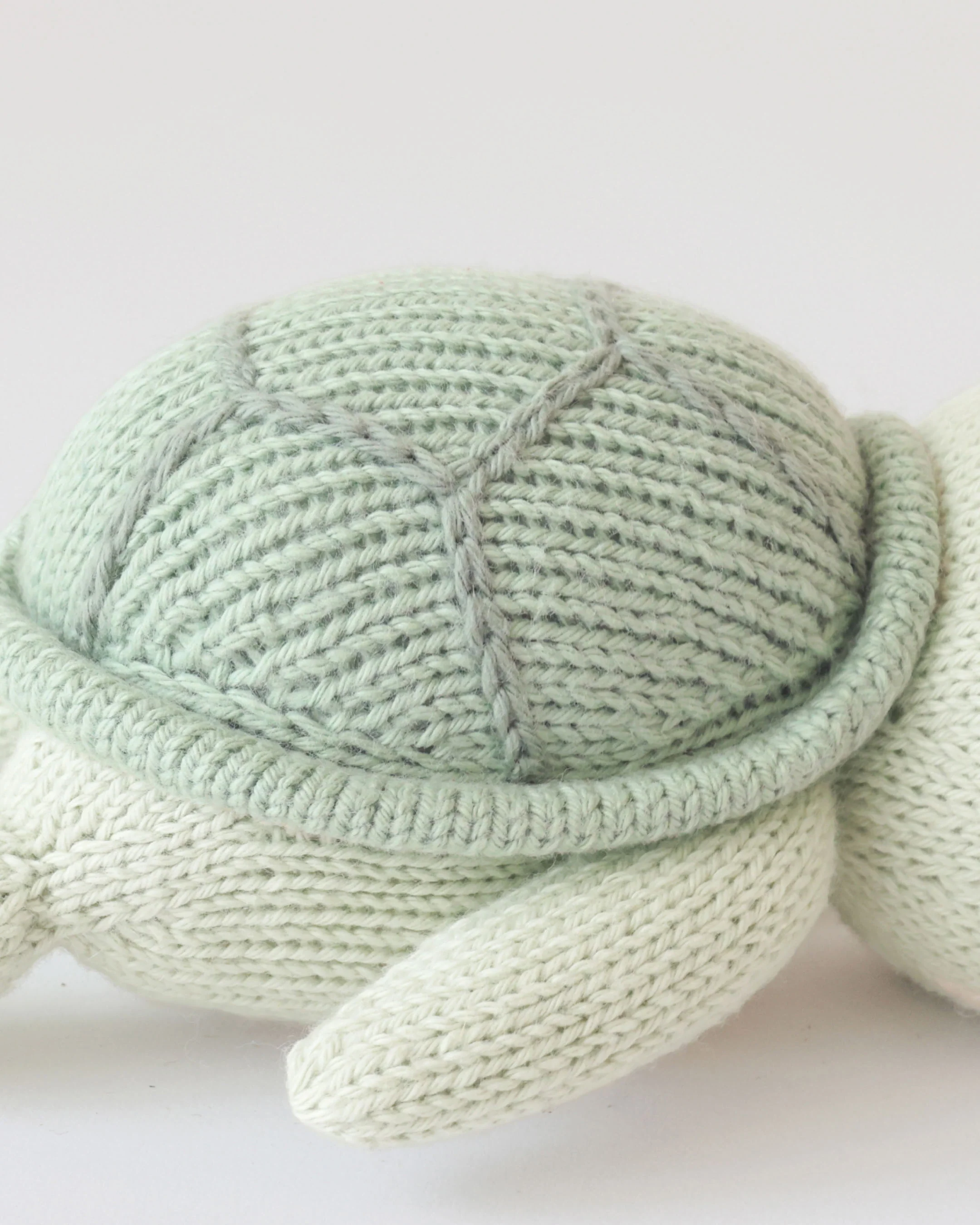 Baby sea turtle (kelp green) - Image 3