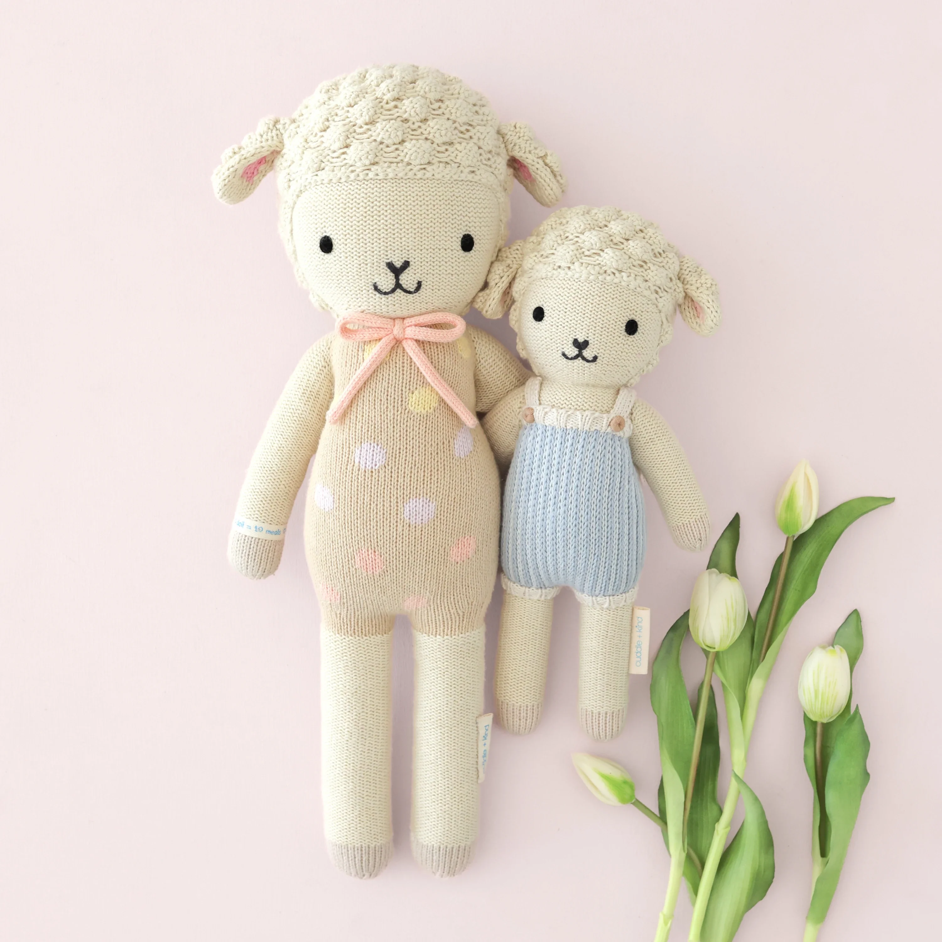 Benjamin the lamb - Image 5