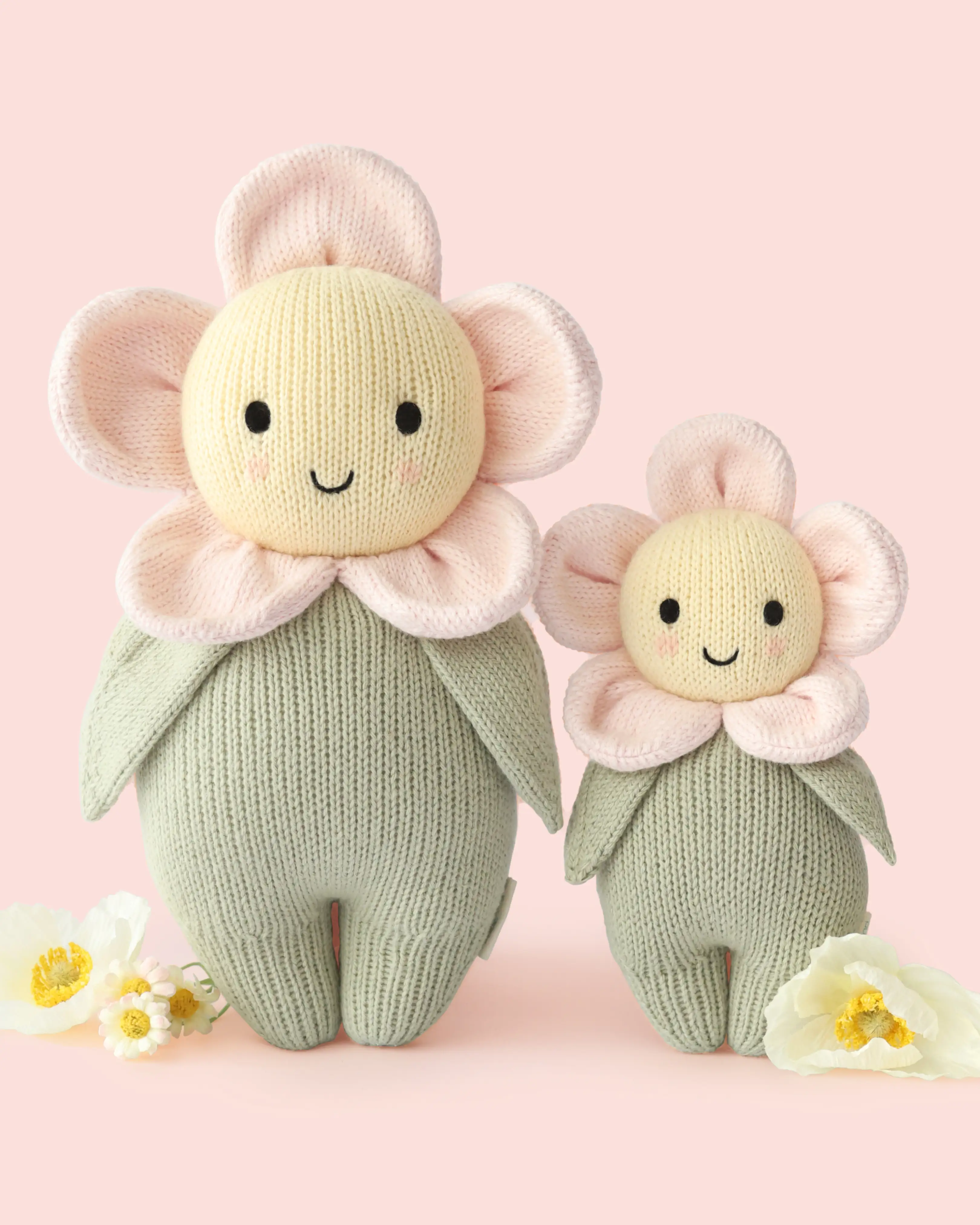 Big baby daisy - Image 3