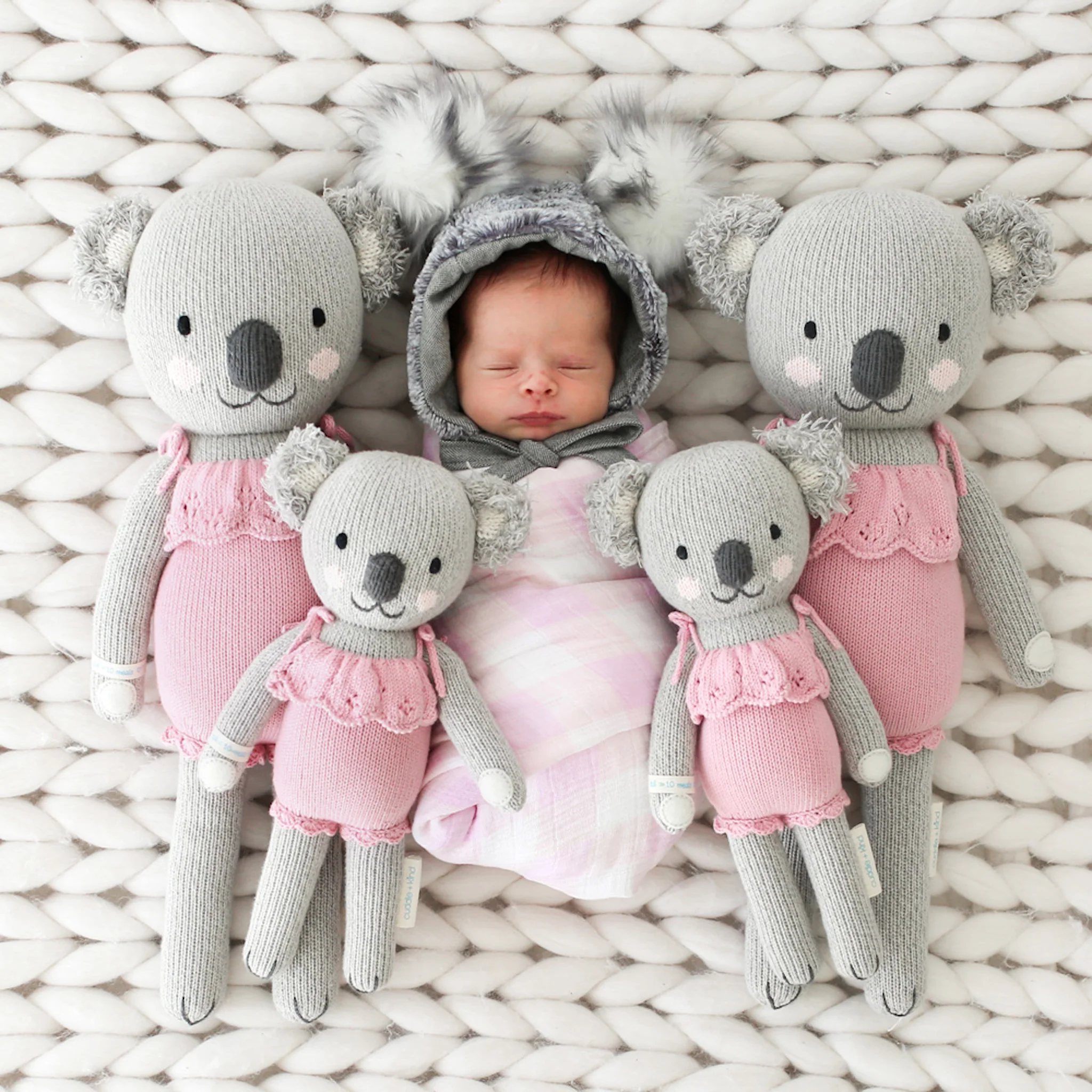 Claire the koala - Image 4