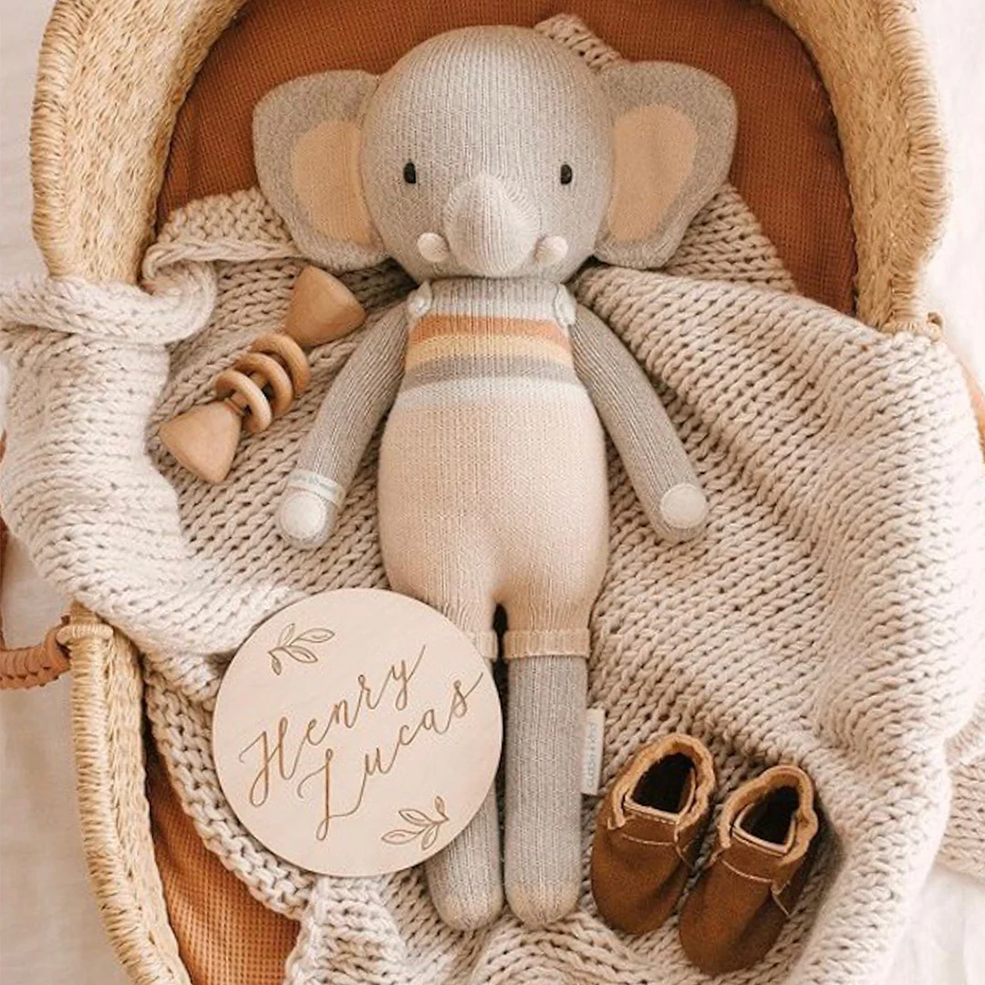 Evan the elephant - Image 6