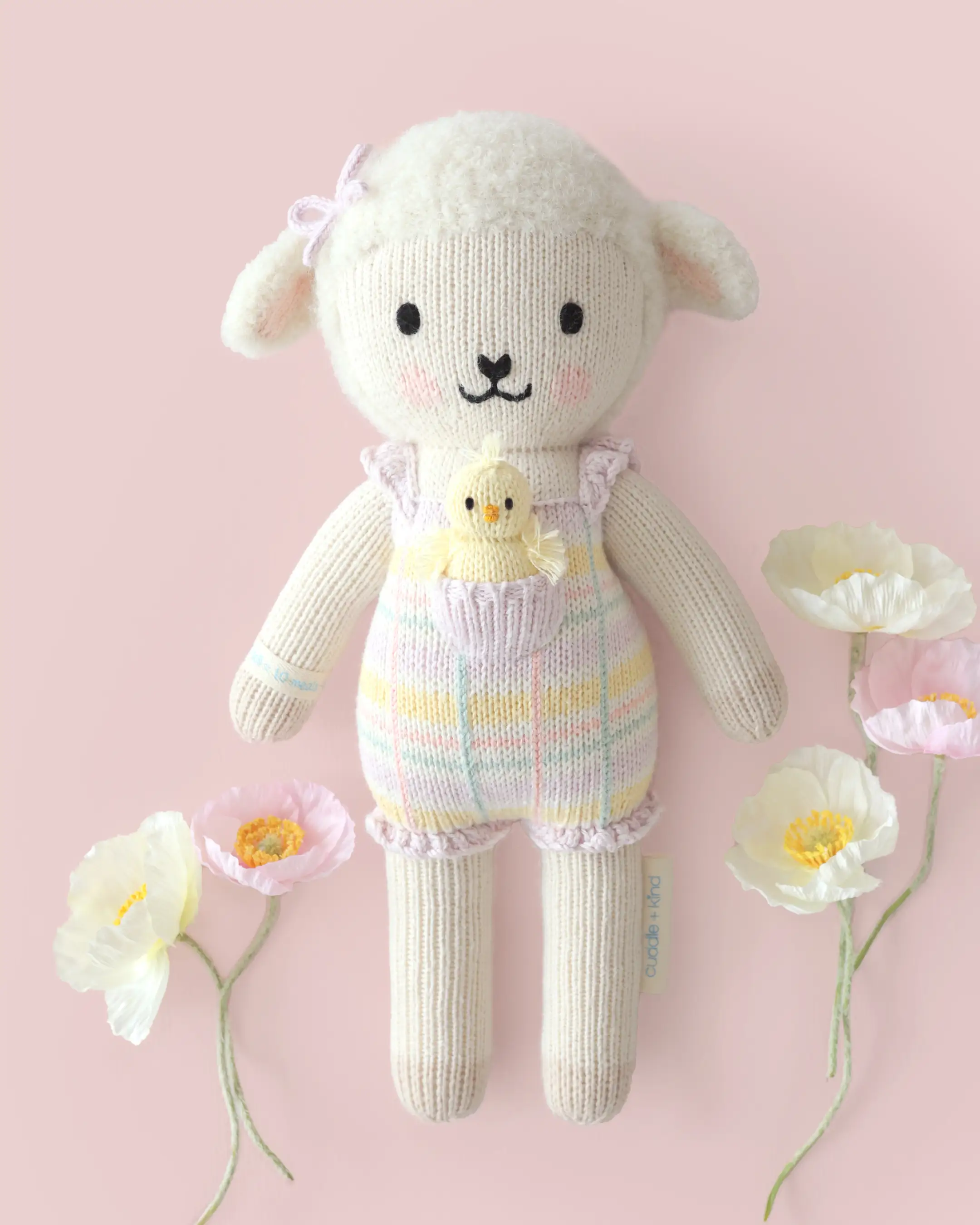 Mabel the lamb - Image 4