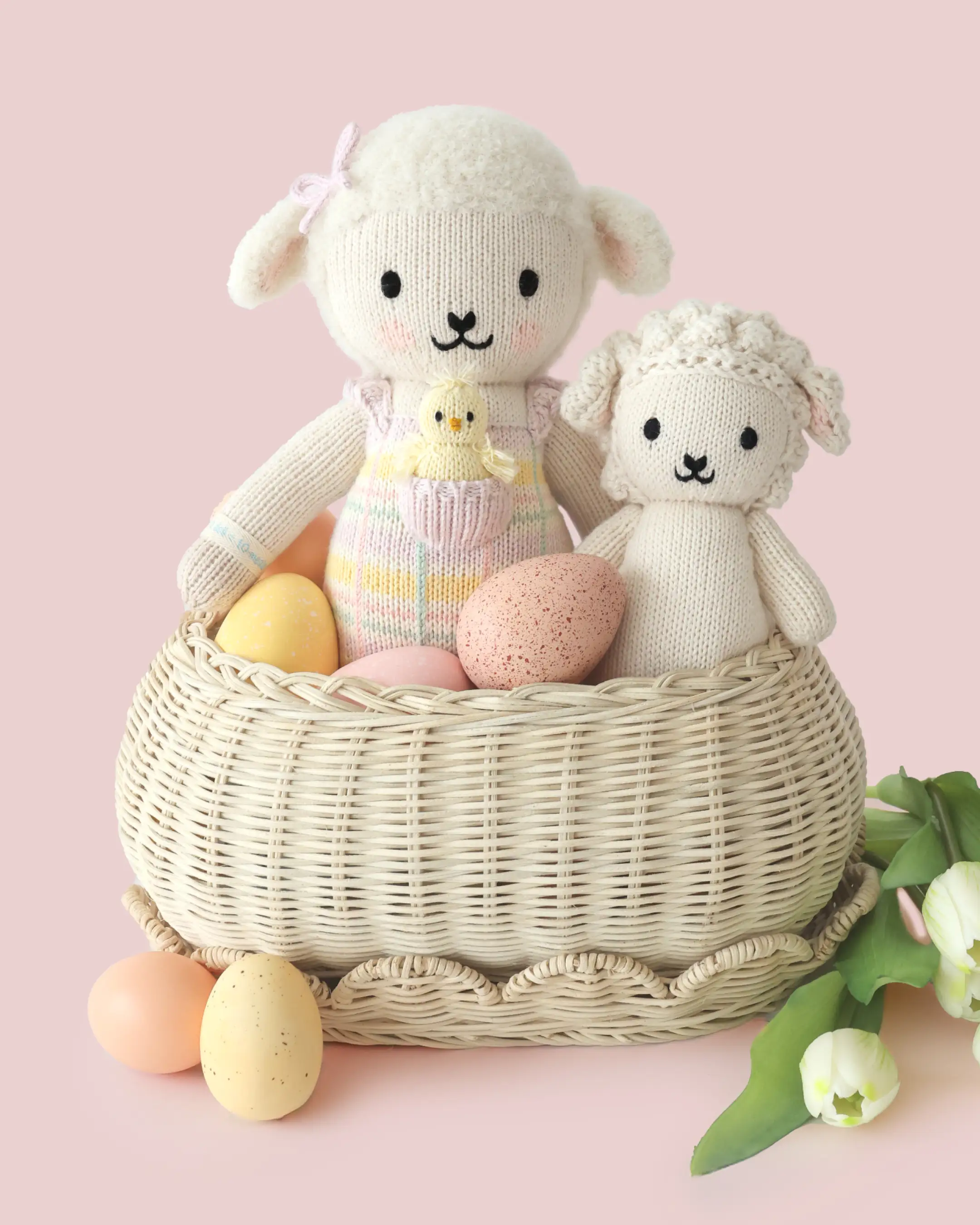 Mabel the lamb - Image 6