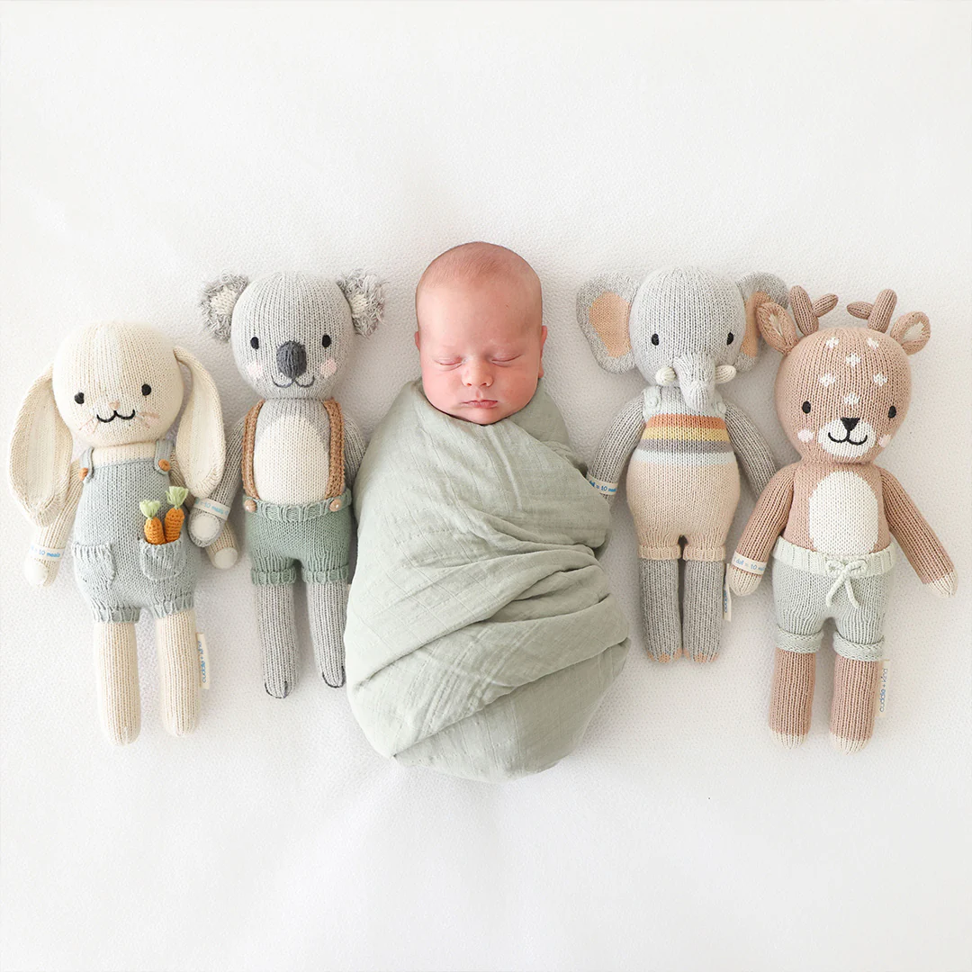 Quinn the koala - Image 7