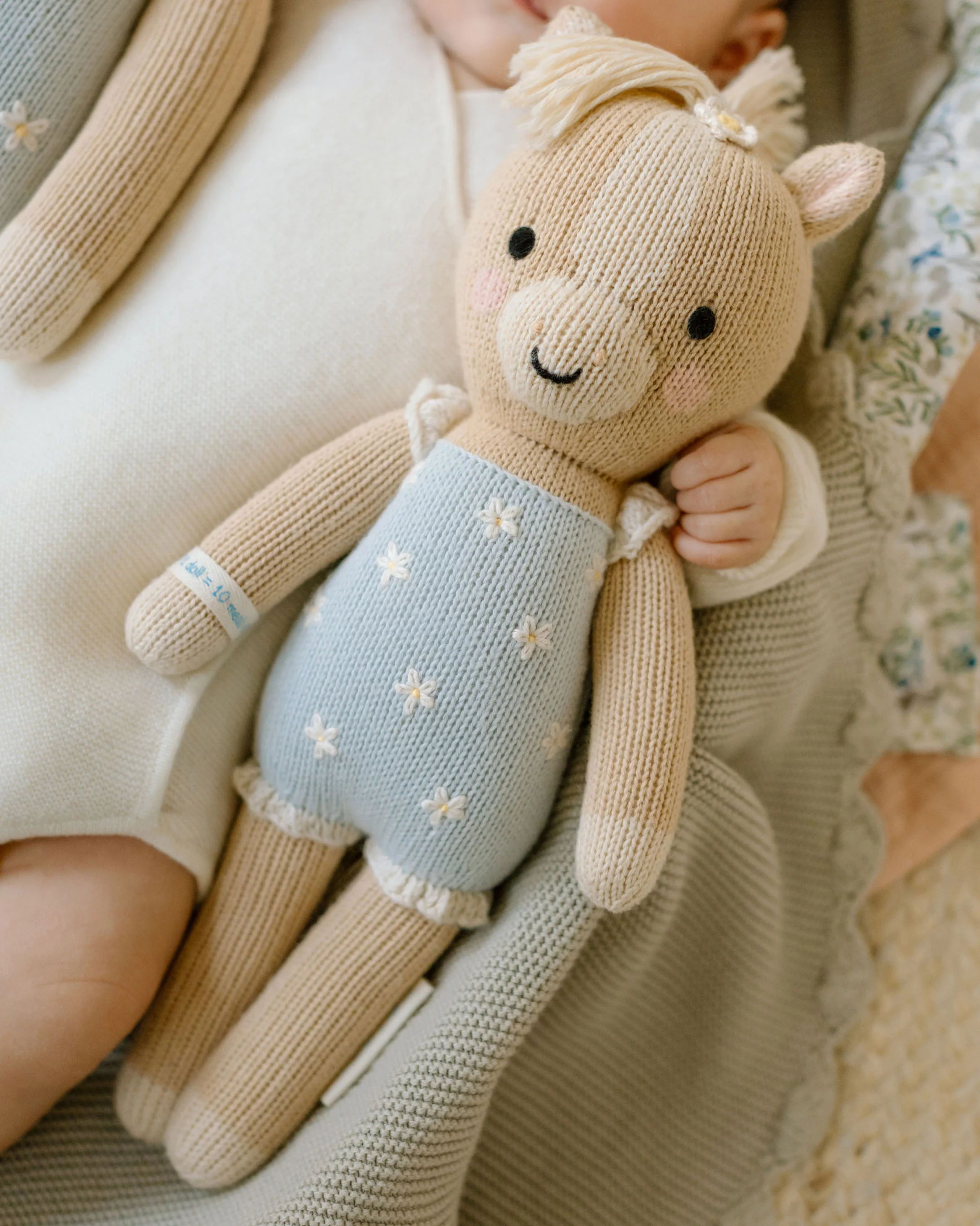 Sophia the pony (bluebell) - Image 7
