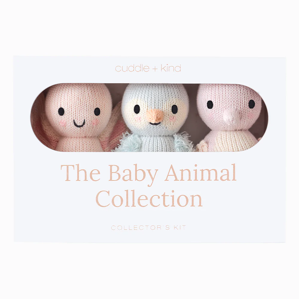 Summer Collector's Kit - Image 3