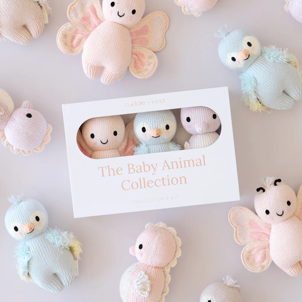 Summer Collector's Kit - Image 7
