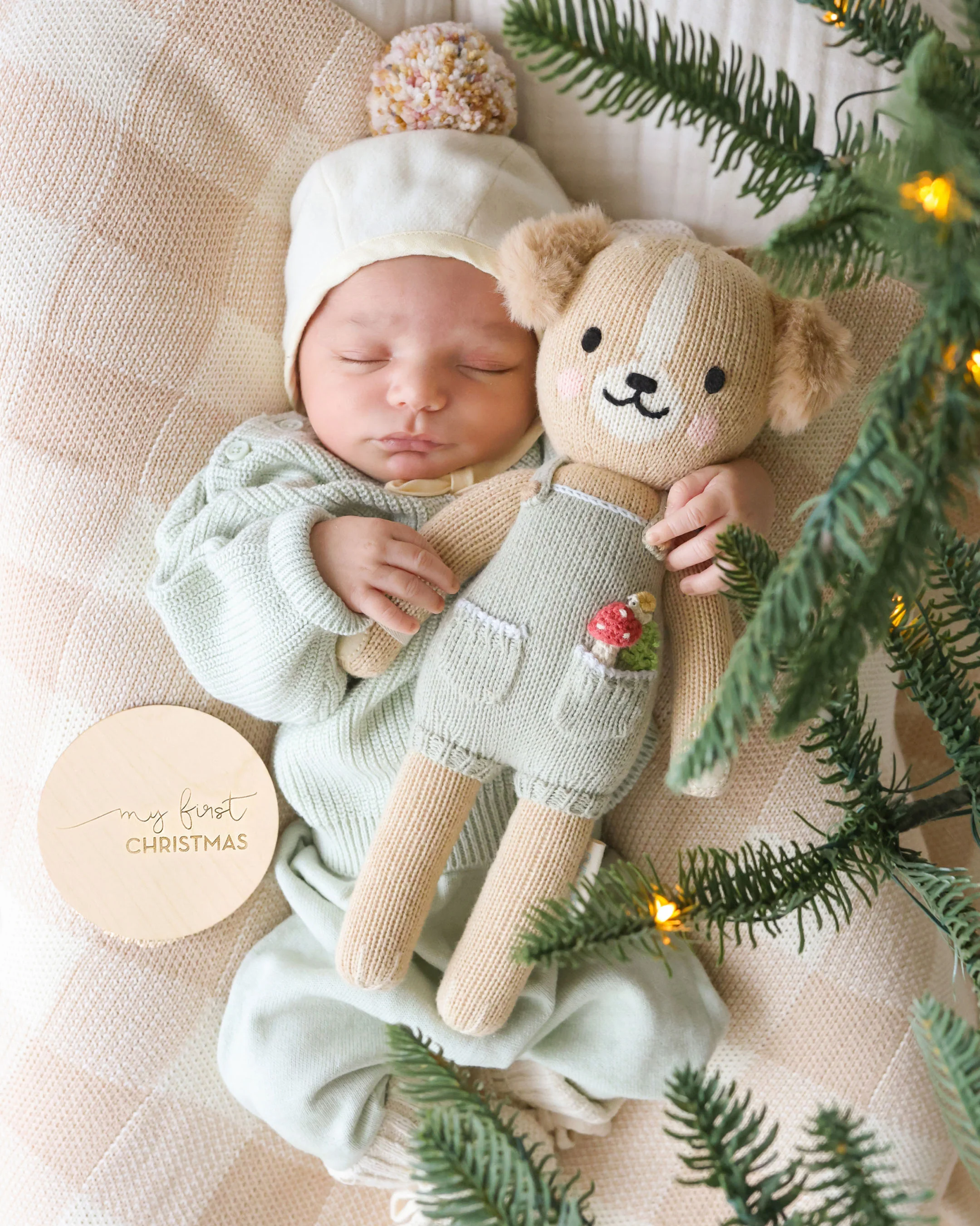 Theo the golden puppy - Image 7