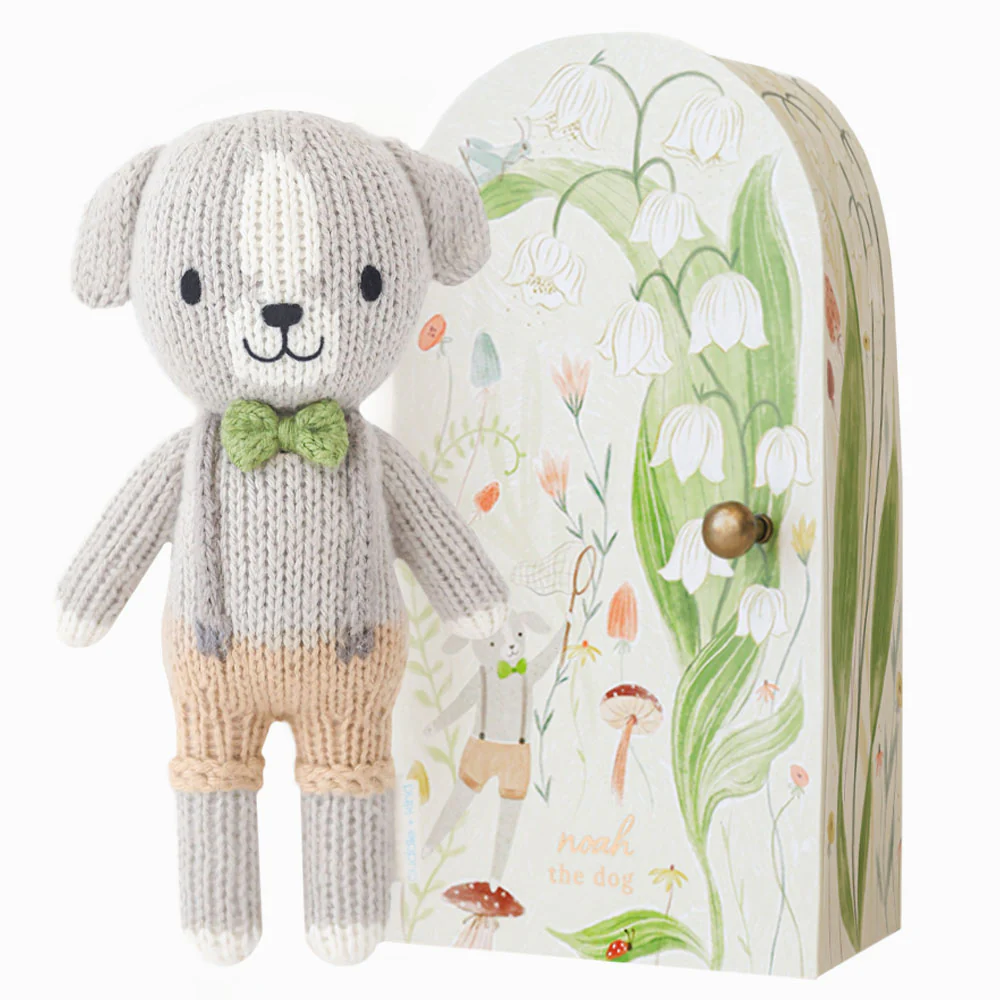 Tiny Noah the dog - Image 11