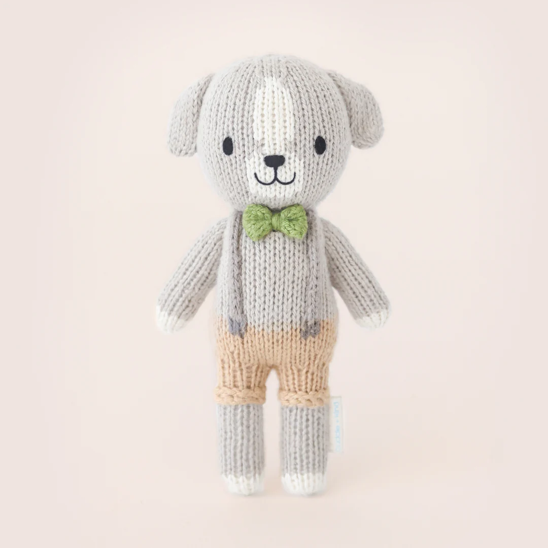 Tiny Noah the dog - Image 3