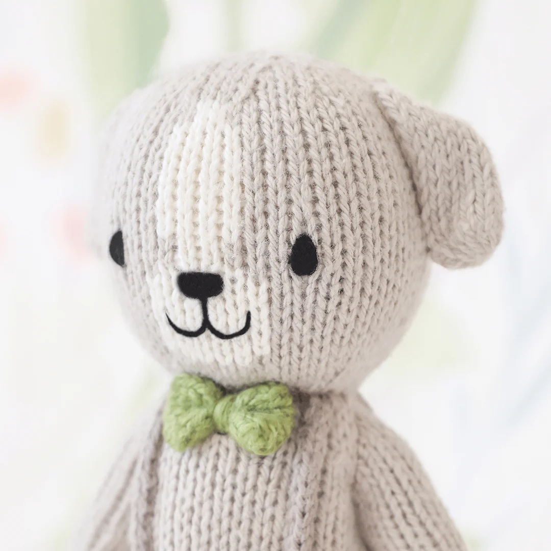 Tiny Noah the dog - Image 4